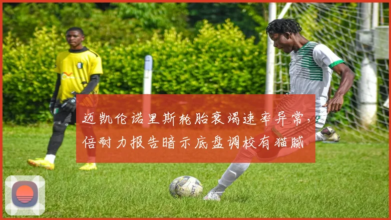 迈凯伦诺里斯轮胎衰竭速率异常，倍耐力报告暗示底盘调校有猫腻