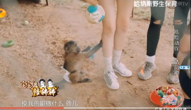 开元体育·(中国)官方网站《花少3》宋祖儿被猴子摸大腿哪吒大战孙悟空(图1)