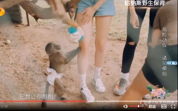 开元体育·(中国)官方网站《花少3》宋祖儿被猴子摸大腿哪吒大战孙悟空(图2)