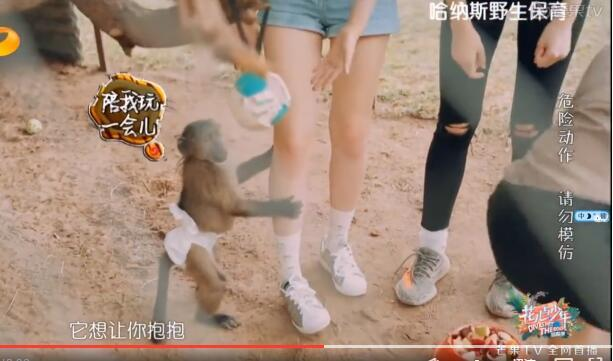 开元体育·(中国)官方网站《花少3》宋祖儿被猴子摸大腿哪吒大战孙悟空(图4)